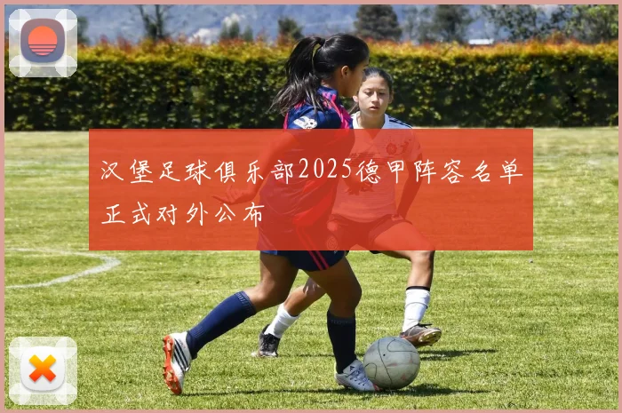 汉堡足球俱乐部2025德甲阵容名单正式对外公布